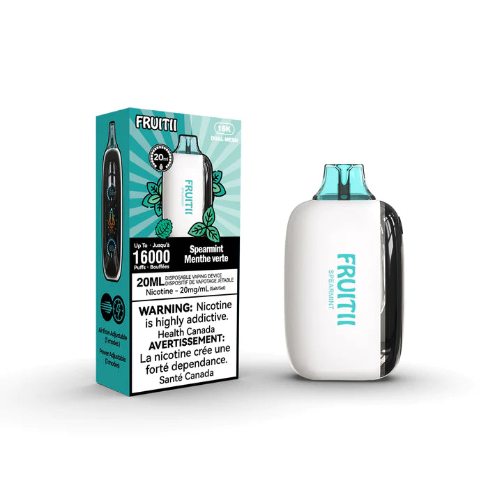 FRUITTI 16K DISPOSABLE VAPE - SPEARMINT
